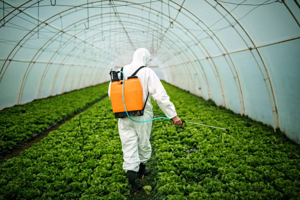 Best Pest Control Near Me in Maunawili, HI